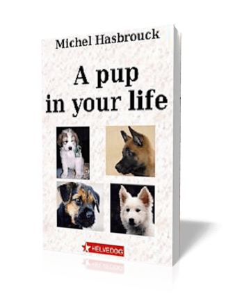 A Pup in Your Life – Michel Hasbrouck (translated by Jean Gill) image 1